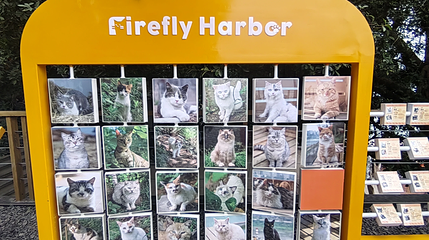 萤火虫港湾猫猫主题乐园第 1 张图片