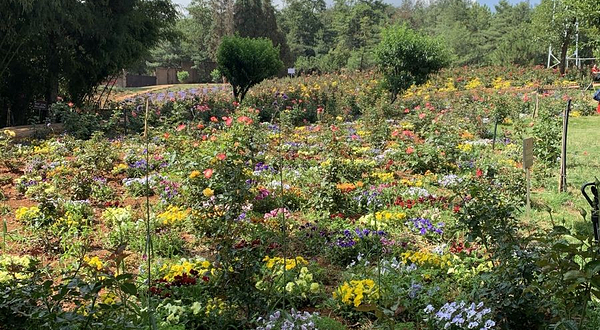 花千谷阅读小镇