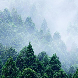 腊山国家森林公园