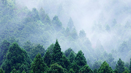 腊山国家森林公园第 1 张图片