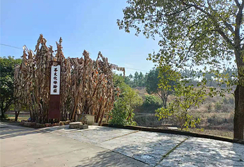华盛山庄第 9 张图片