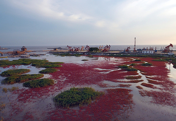 红海滩国家风景廊道第 192 张图片