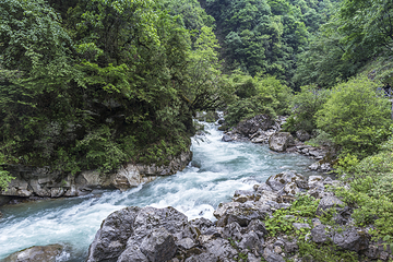 二郎山喇叭河风景区第 94 张图片