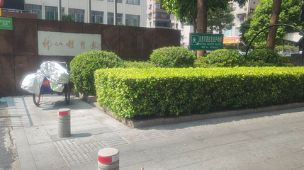 佛山市体育馆第 1 张图片