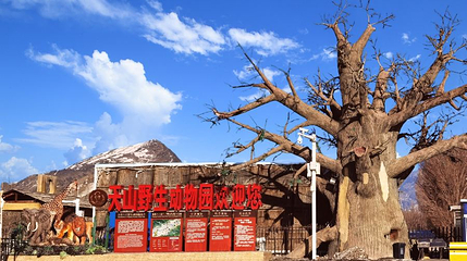 天山野生动物园第 1 张图片