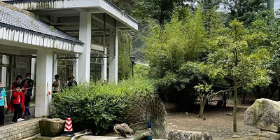 黔灵山动物园-百鸟园