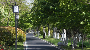 盱眙县体育公园