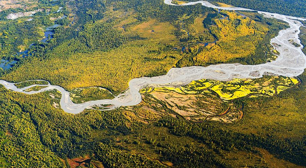 迪纳利国家公园和保留区