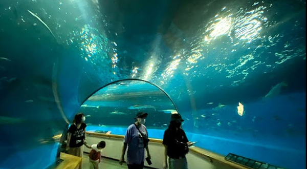 OCEANS 新原海底观光中心