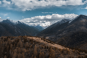 亚拉雪山风景区第 43 张图片