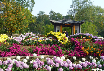 东湖生态旅游风景区第 65 张图片