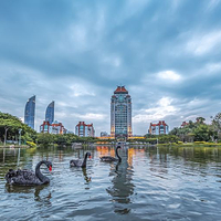 厦门大学-芙蓉湖