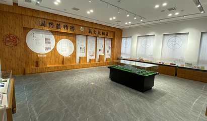 叶开泰中医药文化博物馆第 11 张图片