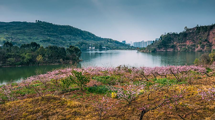 宝狮湖第 1 张图片