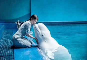 三亚亚特兰蒂斯失落的空间水族馆第 189 张图片