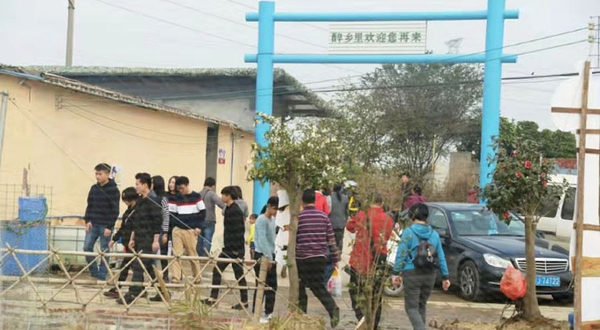 醉乡里休闲农场·草莓采摘百果园