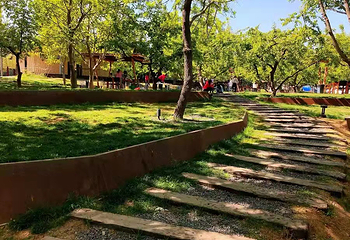 山湖间野奢营地第 13 张图片
