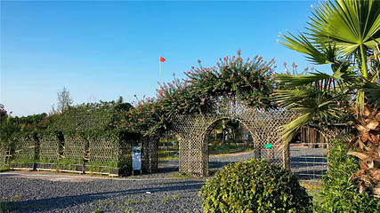 衡阳花奇里生态旅游区第 2 张图片