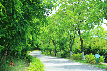 香山景区第 8 张图片