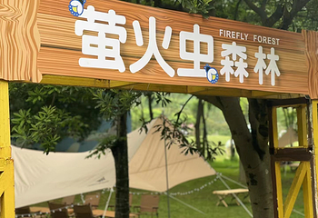 萤火虫森林露营地第 7 张图片