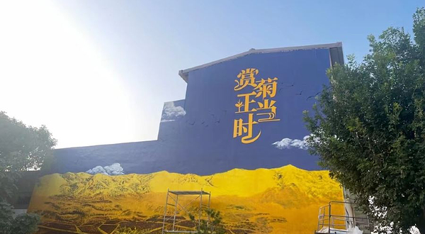 芮城斜口菊花园