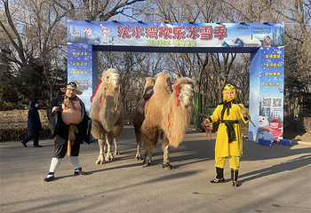 沈水湾冰雪嘉年华第 10 张图片