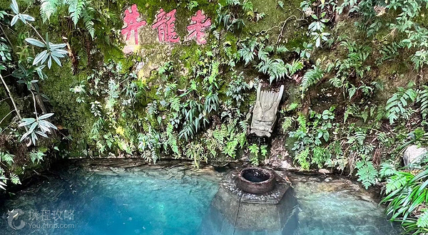 龙井问茶