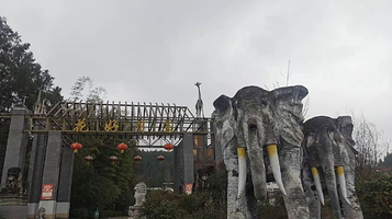 花好月圆动物园