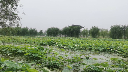 荷香民俗园第 2 张图片