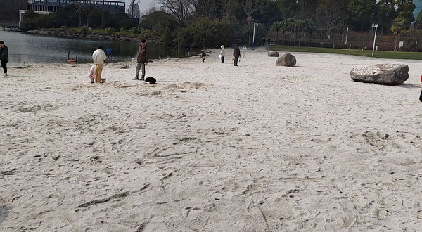 大宁公园-白沙滩