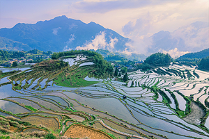 云和梯田景区