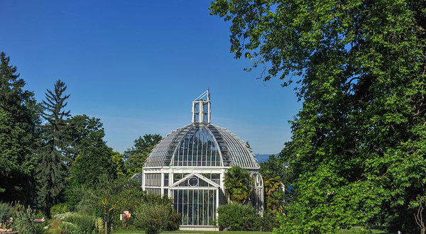 日内瓦植物园