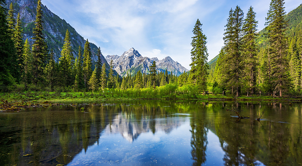 王朗国家级自然保护区