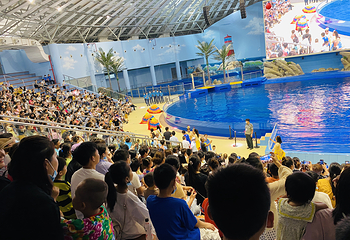 阜阳尧泰汉海海洋公园第 21 张图片