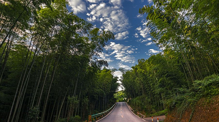蜀南竹海风景名胜区-翡翠长廊第 1 张图片