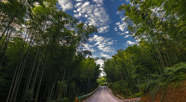 蜀南竹海风景名胜区-翡翠长廊