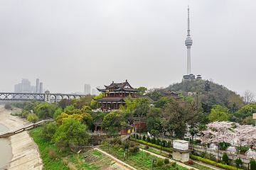 龟山风景区第 17 张图片