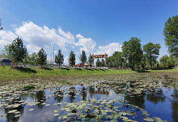 太阳岛(鸭绿江国家级风景名胜区店)第 3 张图片