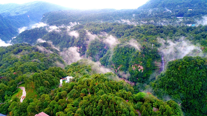碧峰峡景区第 33 张图片