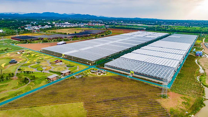 上饶云谷田园生态小镇第 2 张图片