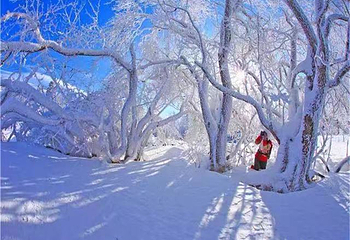 长白山仙峰雪岭景区第 38 张图片