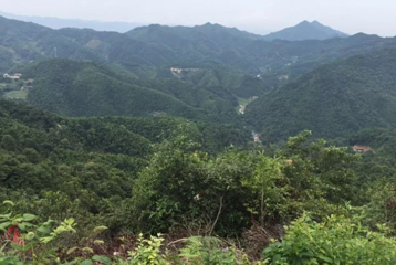 鹿岐峰森林公园第 1 张图片