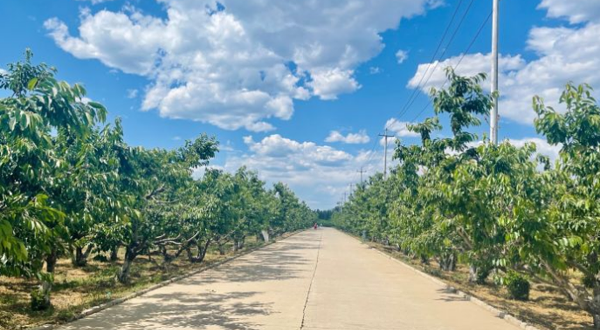 北京喜邦生态农业有限公司