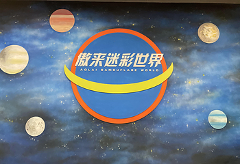 傲来迷彩世界第 13 张图片