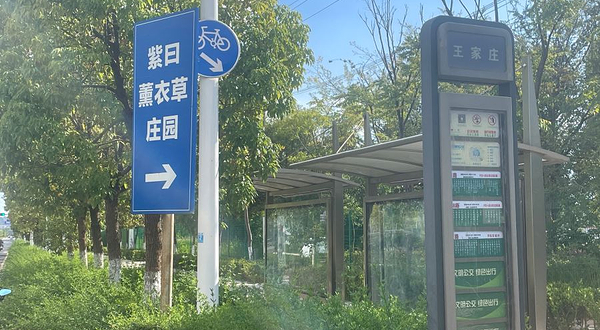 紫曰-薰衣草庄园