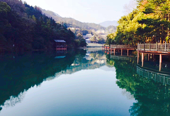 洪崖丹井景区第 18 张图片