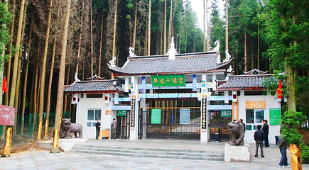 (重庆黄水旅游度假区)毕兹卡绿宫第 1 张图片
