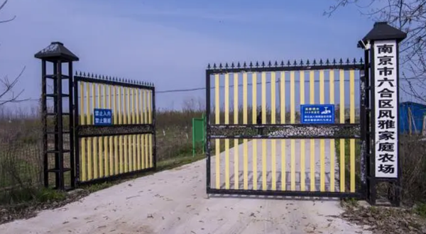 南京市六合区风雅家家农场