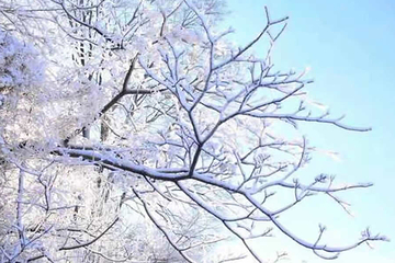 北陵冰雪世界第 10 张图片