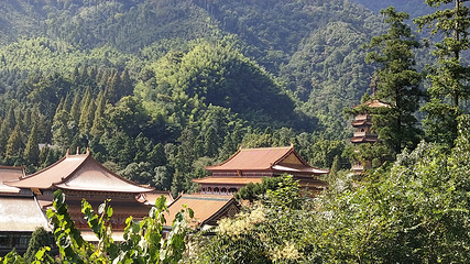 天目山自然保护区第 37 张图片